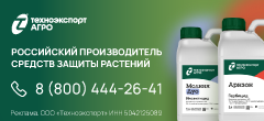 Второй боковой