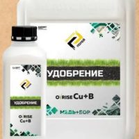 О-РАЙЗ Cu+В