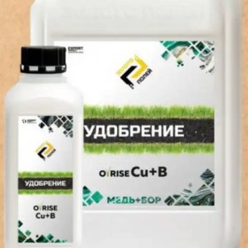 О-РАЙЗ Cu+В