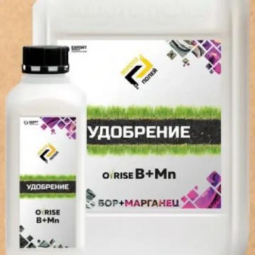 О-РАЙЗ В+Mn