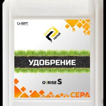 О-РАЙЗ S