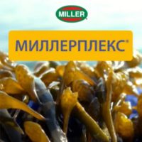 Миллерплекс
