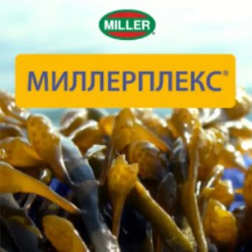 Миллерплекс