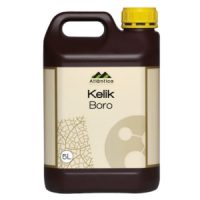 Келик Бор