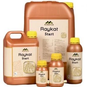 Райкат Старт