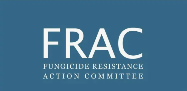 FRAC - Логотип FRAC