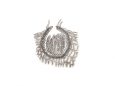 <i>Venturia inaegualis</i> - Перитеций