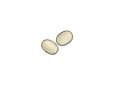 <i>Plasmopara halstedii</i> (Farl.) Berl. et de Toni. - Конидии.