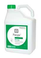 Ракурс