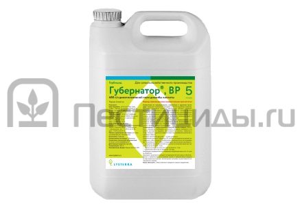 Губернатор