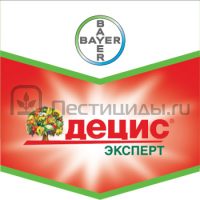 Децис Эксперт