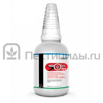 Канонир Дуо