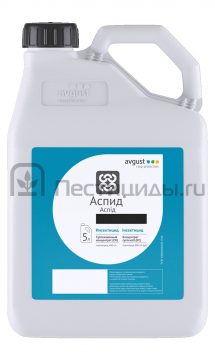Аспид