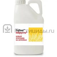 Абруста