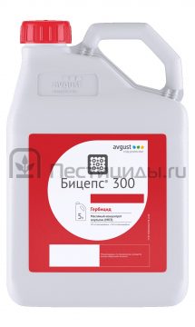 Бицепс 300