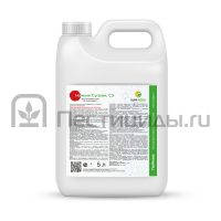 Номини Суприм