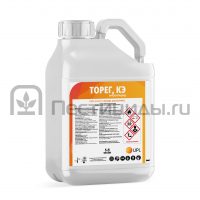 Торег