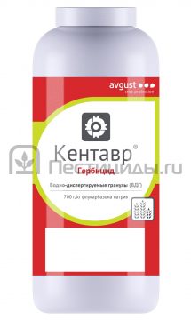 Кентавр