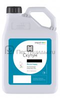 Скутум