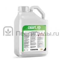 Скаут