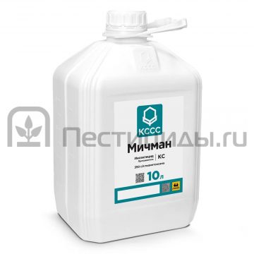 Мичман