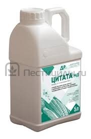 Цитата