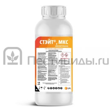 Стэйт