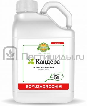 Кандера