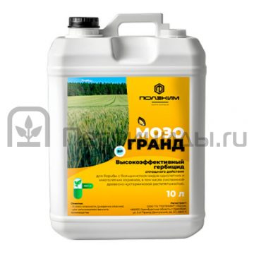 Мозогранд