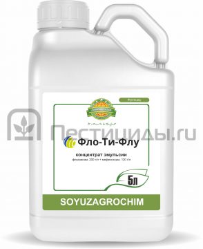 Фло-Ти-Флу