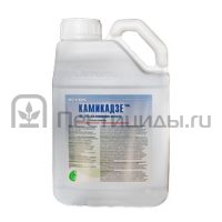 Камикадзе