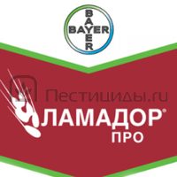 Ламадор Про