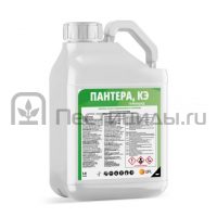 Пантера