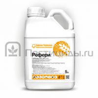 Рефери