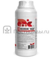 Вояж